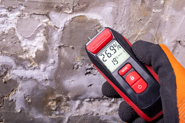 Best Mold Testing and Removal  in Eastvale, CA