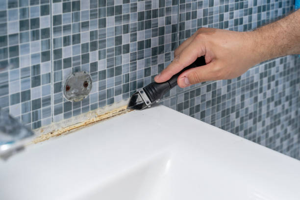 Best Mold Remediation Services  in Eastvale, CA